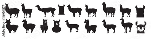 llama silhouette white background