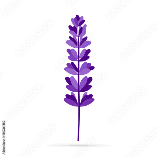icon_lavender_flower_isolated_on_a_white, Vector, eps, flat design, animation design, simple flat 2D icon, minimalist design, clipart, illustration