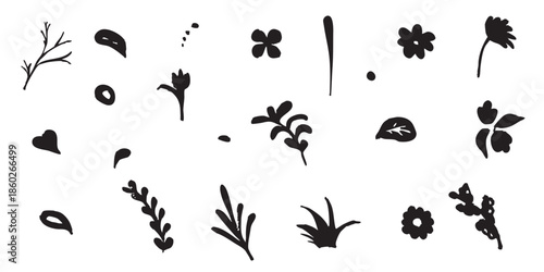 Hand Drawn Floral Silhouettes and Decorative Elements