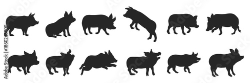 illustration of a sniffing pig silhouette boar vector 