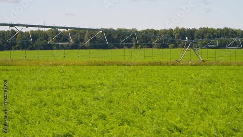 Lush Green Fields with an Efficient Irrigation System Thriving Under Clear Blue Skies