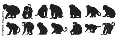 monkeys silhouette white background