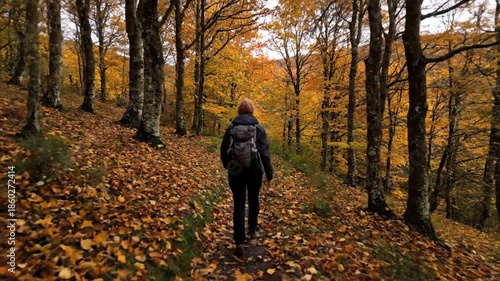 Wallpaper Mural Person walks through autumn forest Torontodigital.ca
