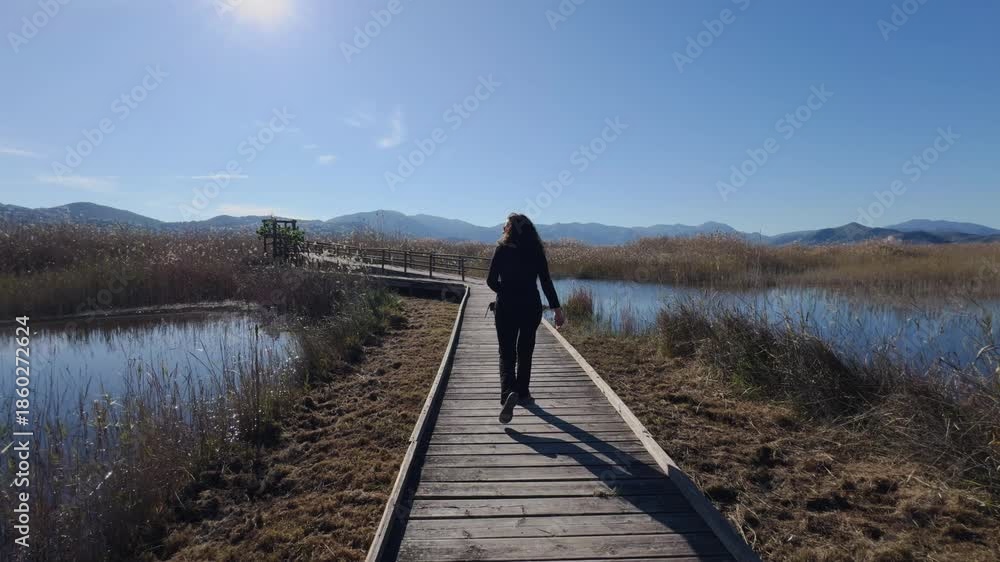 custom made wallpaper toronto digitalLonely hiker walking along wooden boardwalk through wetland