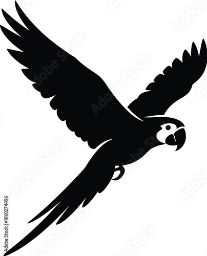 Soaring parrot in flight isolated on transparent background, Vector, illustration