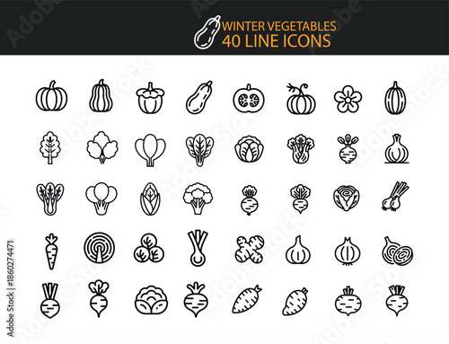 Collection of 40 line art icons representing winter vegetables and gourds Keywords: pumpkin