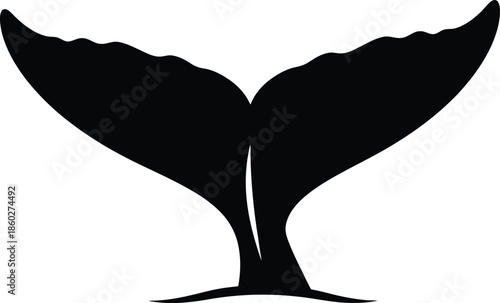 Whale tail silhouette isolated on transparent background, Vector, illustration