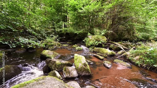 Filmmaterial des  Höllbach im Naturschutzgebiet Höllbachtal bei dem Rundwanderweg in Rettenbach bei Falkenstein in Bayern, Deutschland