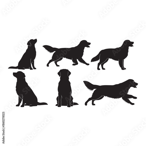Set of six black dog silhouettes in various poses and movements vector art design