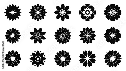 Arrangement of diverse black floral designs a striking silhouette