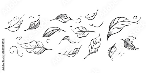 Hand drawn sketch of flying leaves with swirling wind lines falling in autumn breeze minimalist line art vector illustration set of leaf doodles in motion