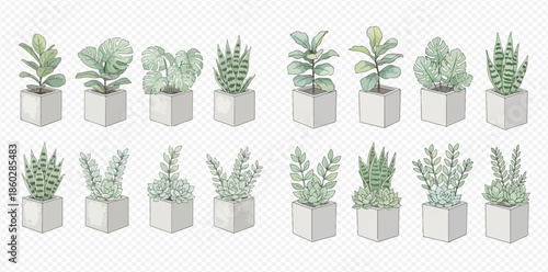 Collection of various watercolor succulent and houseplant illustrations in square pots, perfect for home decor and botanical designs.