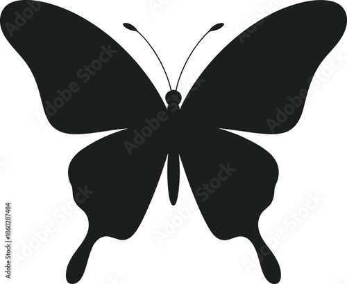 Black silhouette of a butterfly with detailed wings and antennae on a white background insect