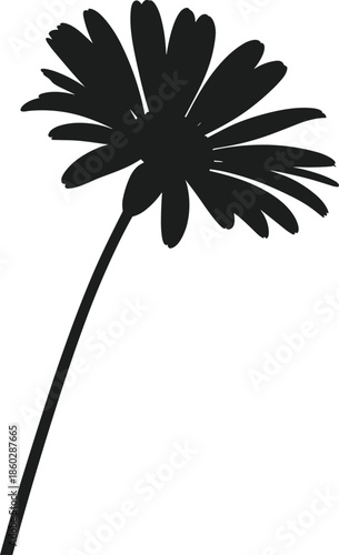 Black silhouette of a single daisy flower with a long stem on a white background vector
