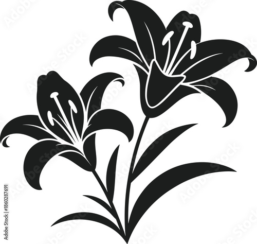 Black silhouette vector of two lily flowers with leaves