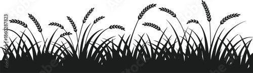 Black silhouette of wheat grass stalks and blades against a white background field agriculture
