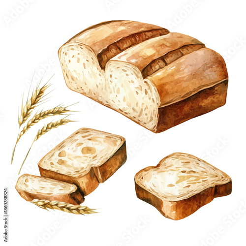 EPS format, A Watercolor design with minimal yet artistic elements for creative designs. hand-drawn paint, A beautiful painting of whole wheat bread, isolated on a white background