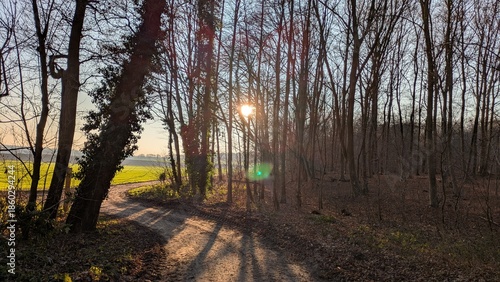 Spaziergang in der Natur, Sonnenaufgang im Herbst, Viersen, Deutschland, Bäume ohne Laub