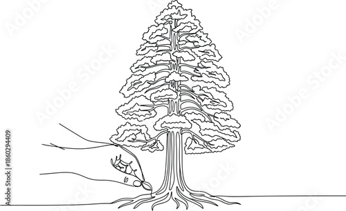 Hand drawing giant redwood tree with roots using continuous line technique