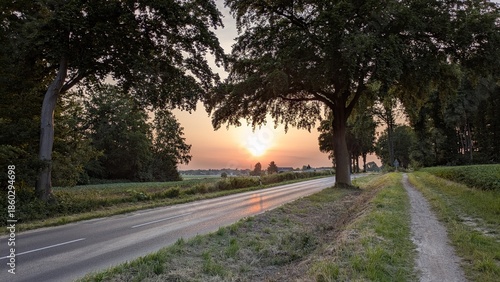 Landstraße in Viersen im Sonnenuntergang mit Bäumen, Straße und Allee zur Jahreszeit Sommer, Abend
