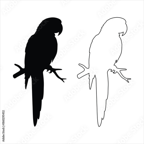 Parrot silhouette isolated - vector illustration. Flying macaw parrot silhouette vector graphic design element illustration .
