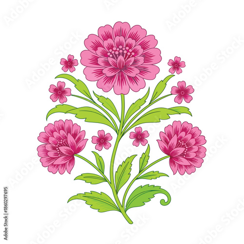 Vibrant pink chrysanthemum flowers with green leaves illustration