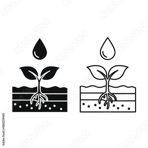 A simplistic illustration depicts the stages of plant growth showing roots soil and water droplets