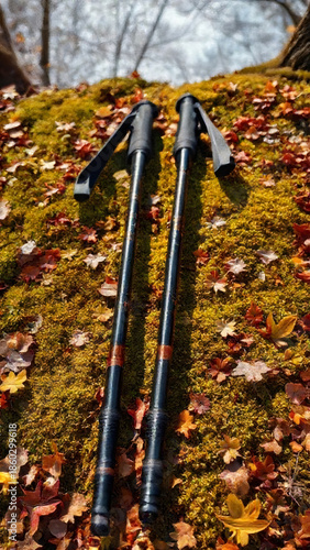 Hiking poles resting on a bed of colorful autumn leaves in a serene forest setting
