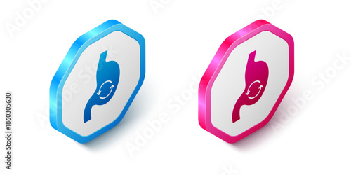 Isometric Human stomach health icon isolated on white background. Hexagon button. Vector