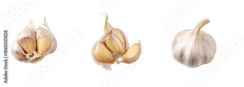 Garlic cloves freshly harvested transparent background culinary inspiration
