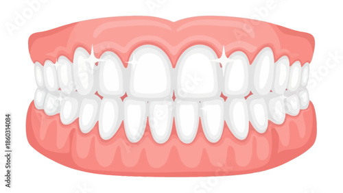 A medical model of a plastic jaw and artificial dentures sits isolated, showcasing oral hygiene and dental tools used by a dentist for professional healthcare and dentistry care of teeth and gums