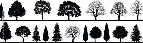 Set of black tree silhouettes, pine, oak and bare winter trees, vector illustration collection isolated on white background for landscape design