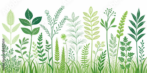 Variety of green plants and leaves on white background