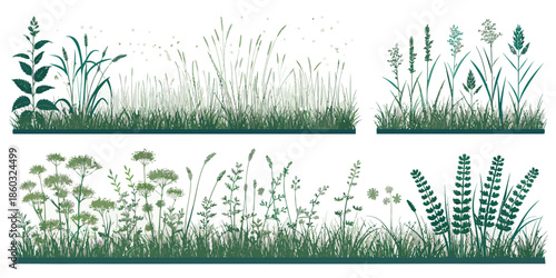 Variety of grasses and wildflowers in elegant green tones