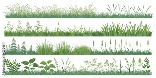 Variety of lush green grass and plants in different textures