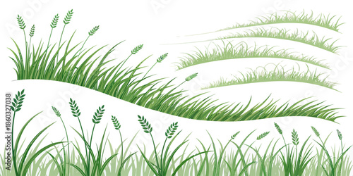 Vibrant green grass and wheat blades on rolling hills