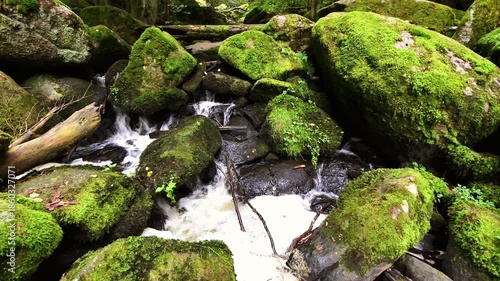Filmmaterial des  Höllbach im Naturschutzgebiet Höllbachtal bei dem Rundwanderweg in Rettenbach bei Falkenstein in Bayern, Deutschland