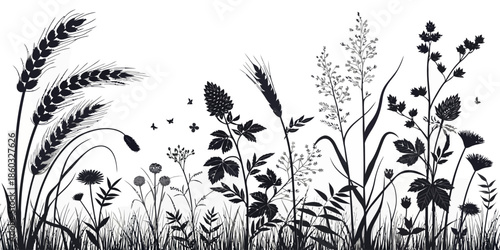 Black silhouette of wildflowers and wheat against white background