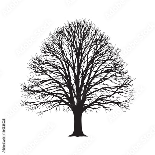 silhouette mono color vector of a tree with branches