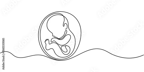 Baby embryo in womb one line drawing. Cute unborn fetus baby on mother womb isolated on white background, Baby embryo in womb in one continuous line drawing. Healthy pregnancy and premature symbol