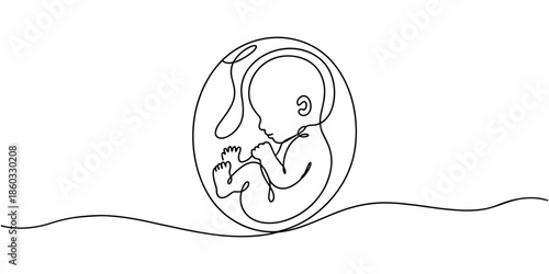 Baby embryo in womb one line drawing. Cute unborn fetus baby on mother womb isolated on white background, Baby embryo in womb in one continuous line drawing. Healthy pregnancy and premature symbol