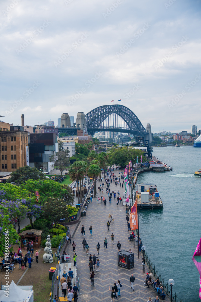 Fototapeta premium City buildings, Harbor, Sydney, New South Wales, Australia