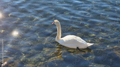 A view of Lake Bracciano from Trevignano Romano on a winter's day