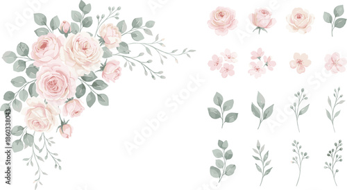 Soft watercolor rose floral set with blush flowers greenery leaves elegant botanical elements vector illustration for wedding invitations decor templates