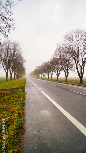 road in the countryside
