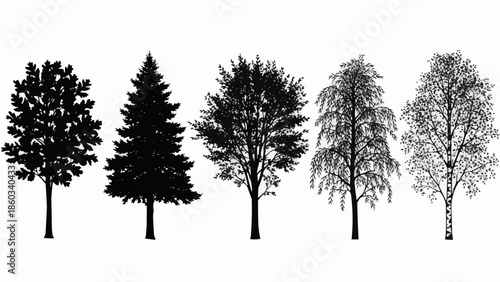 Collection of diverse tree silhouettes and line art illustrations.