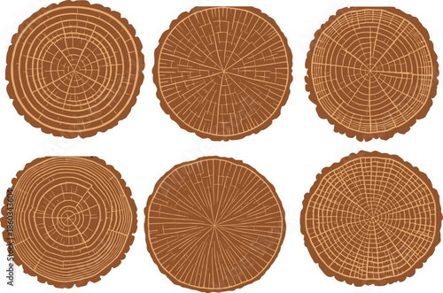 Wooden tree rings vector illustration, tree stump, age growth rings, natural wood texture, detailed tree cross section, environmental design