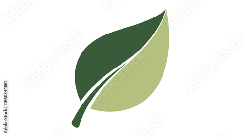 Elegant Leaf Illustration Symbol of Nature Growth and Environmental Consciousness.