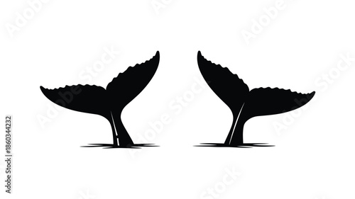Two whale tails breaching the surface a captivating ocean scene silhouette