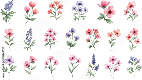 Beautiful collection of eighteen hand painted watercolor floral illustrations with pink purple and orange flowers on white